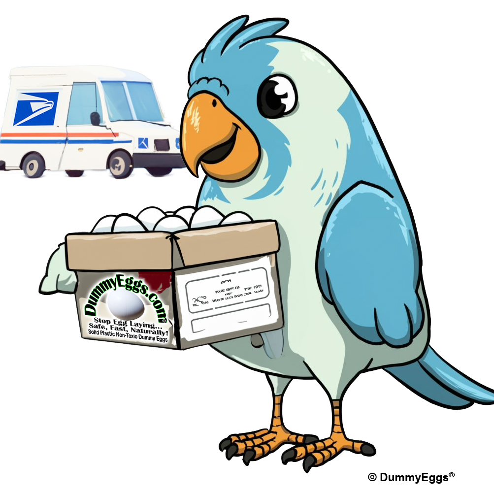 Cute parakeet holding a cartoon of eggs delivered by usps truck cartoon